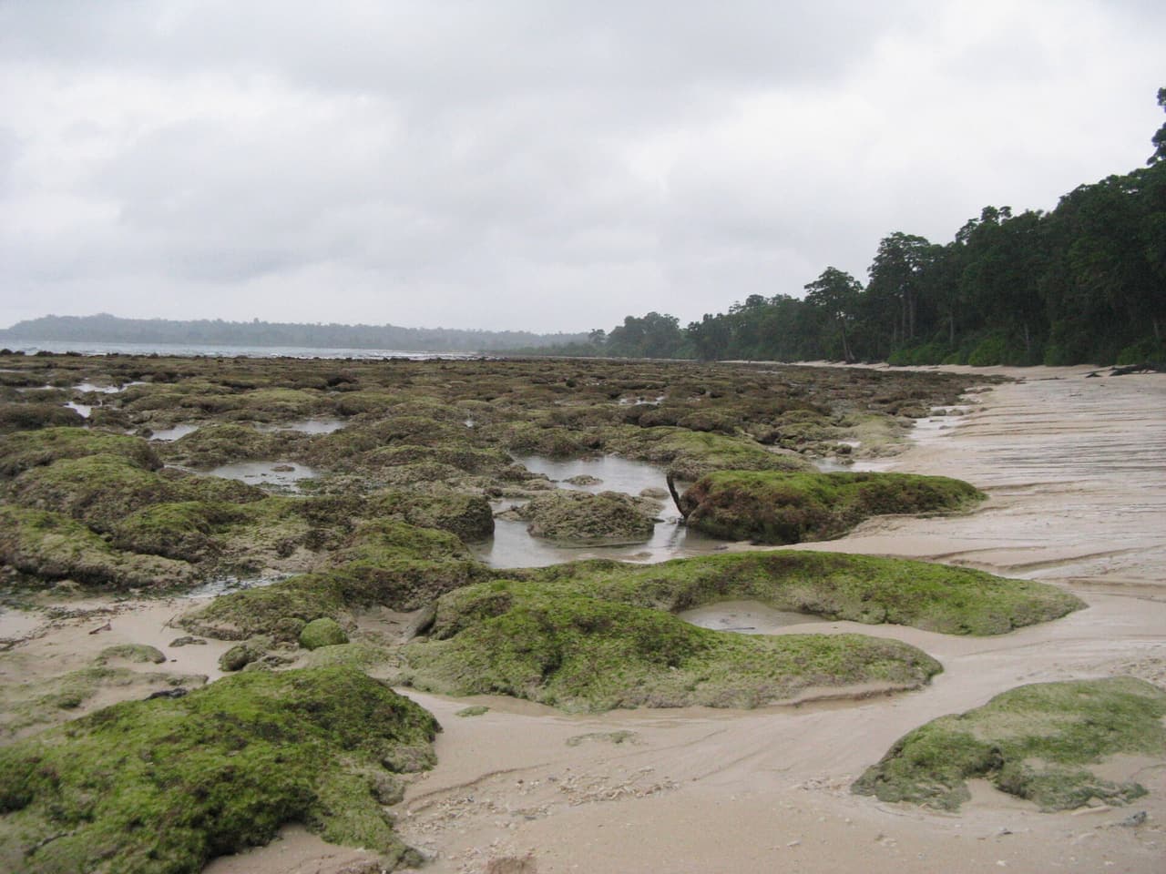 Laxmanpur Beach at Neil Island — photo 2